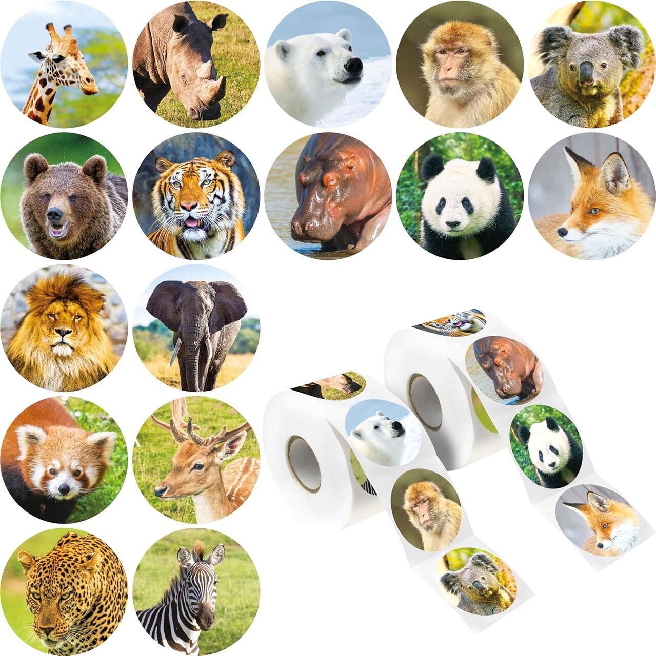 600PCS Jungle Animal Stickers Roll – Realistic Safari Zoo Stickers for Kids, Classroom Rewards, Party Favors, Decorations & Educational Learning Labels